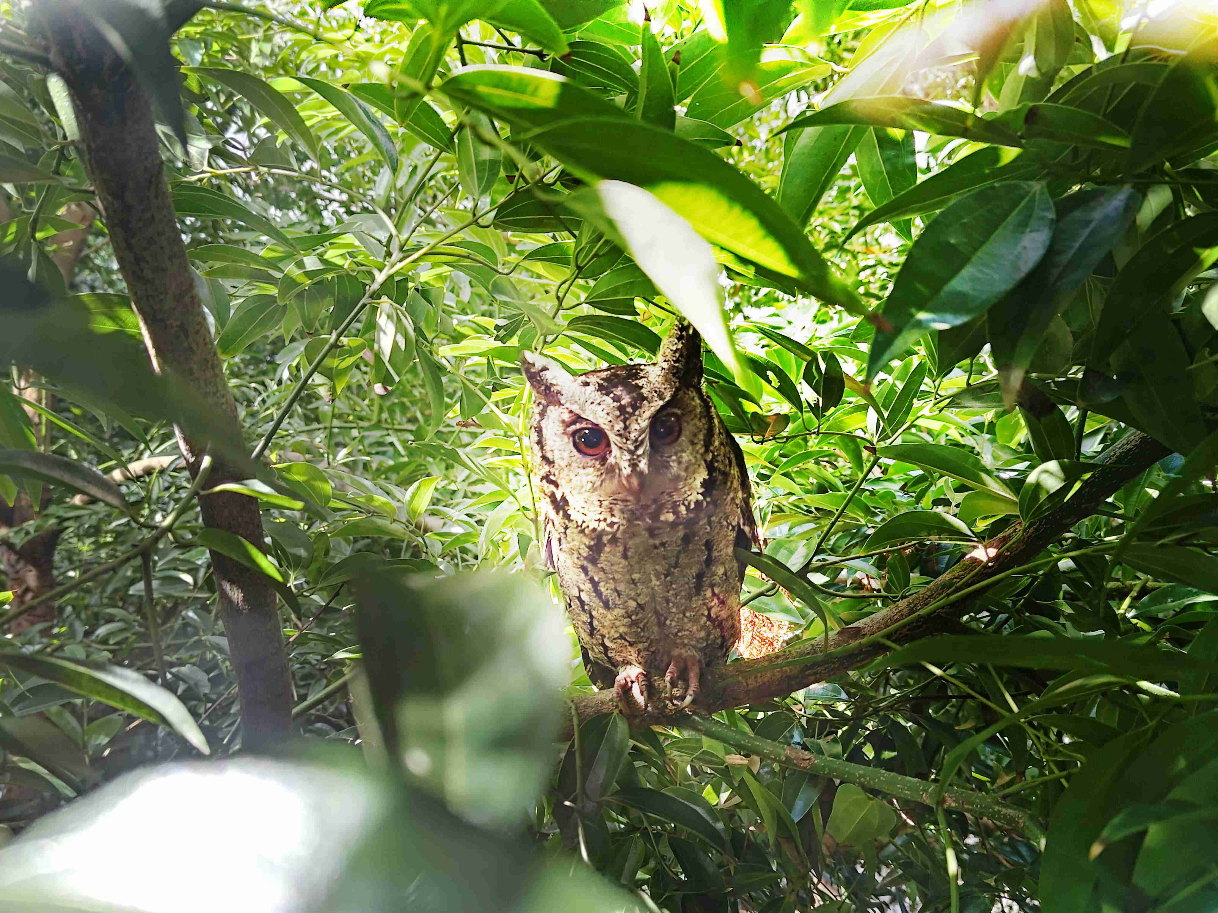 z6尊龙致力提倡净零绿生活，，16年以来在全球各厂区植树逾百万棵，，，，造就各厂区树木蔚然成林，，犹如森林工厂，，成为许多生物的栖息地